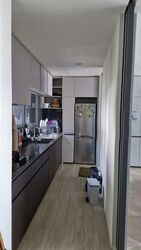Amber Park (D15), Condominium #527979641